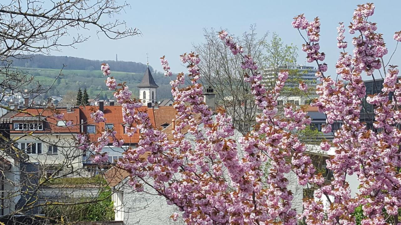 Villa Am Rosenfelspark Lörrach Dış mekan fotoğraf