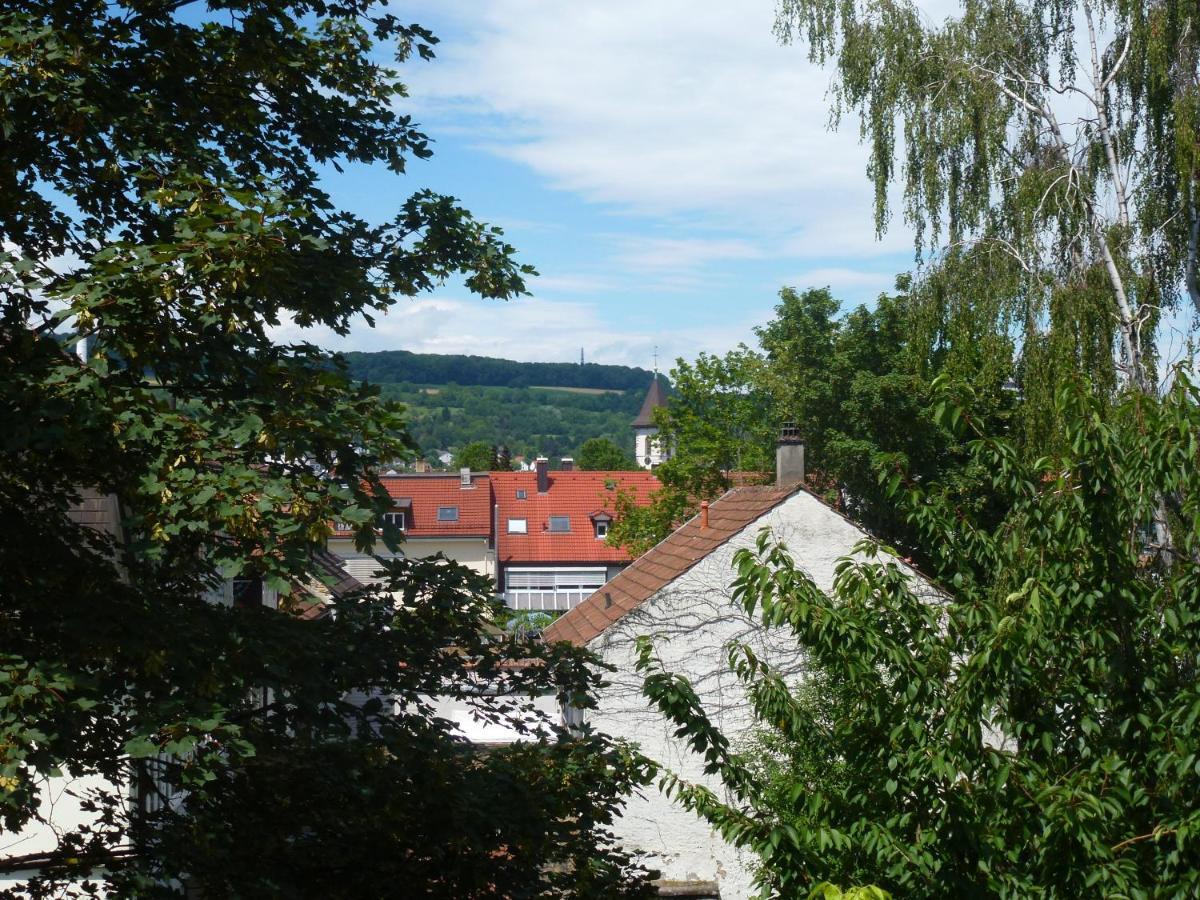 Villa Am Rosenfelspark Lörrach Dış mekan fotoğraf