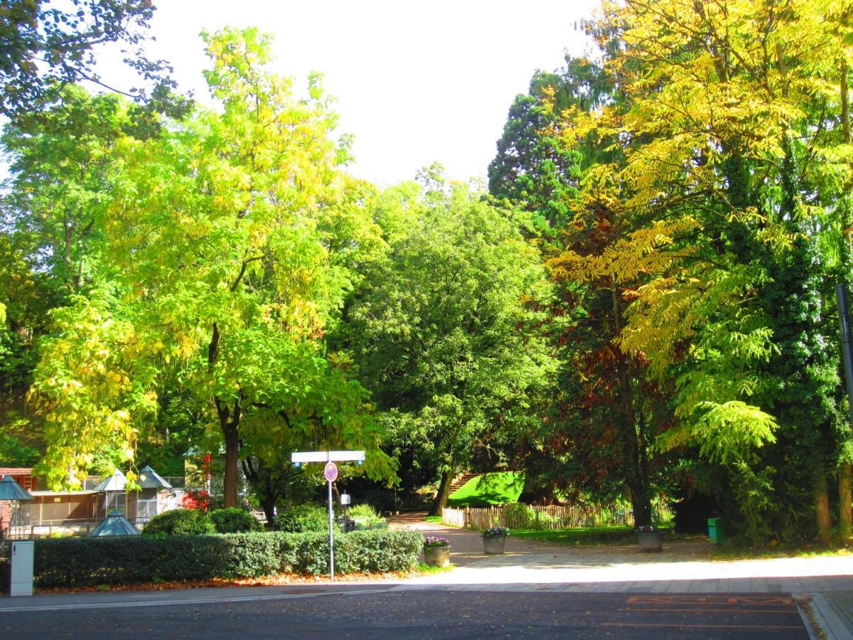 Villa Am Rosenfelspark Lörrach Dış mekan fotoğraf