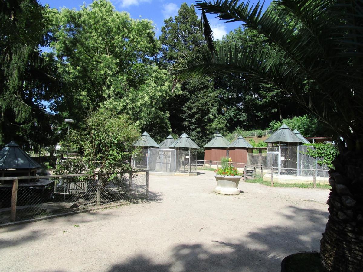 Villa Am Rosenfelspark Lörrach Dış mekan fotoğraf